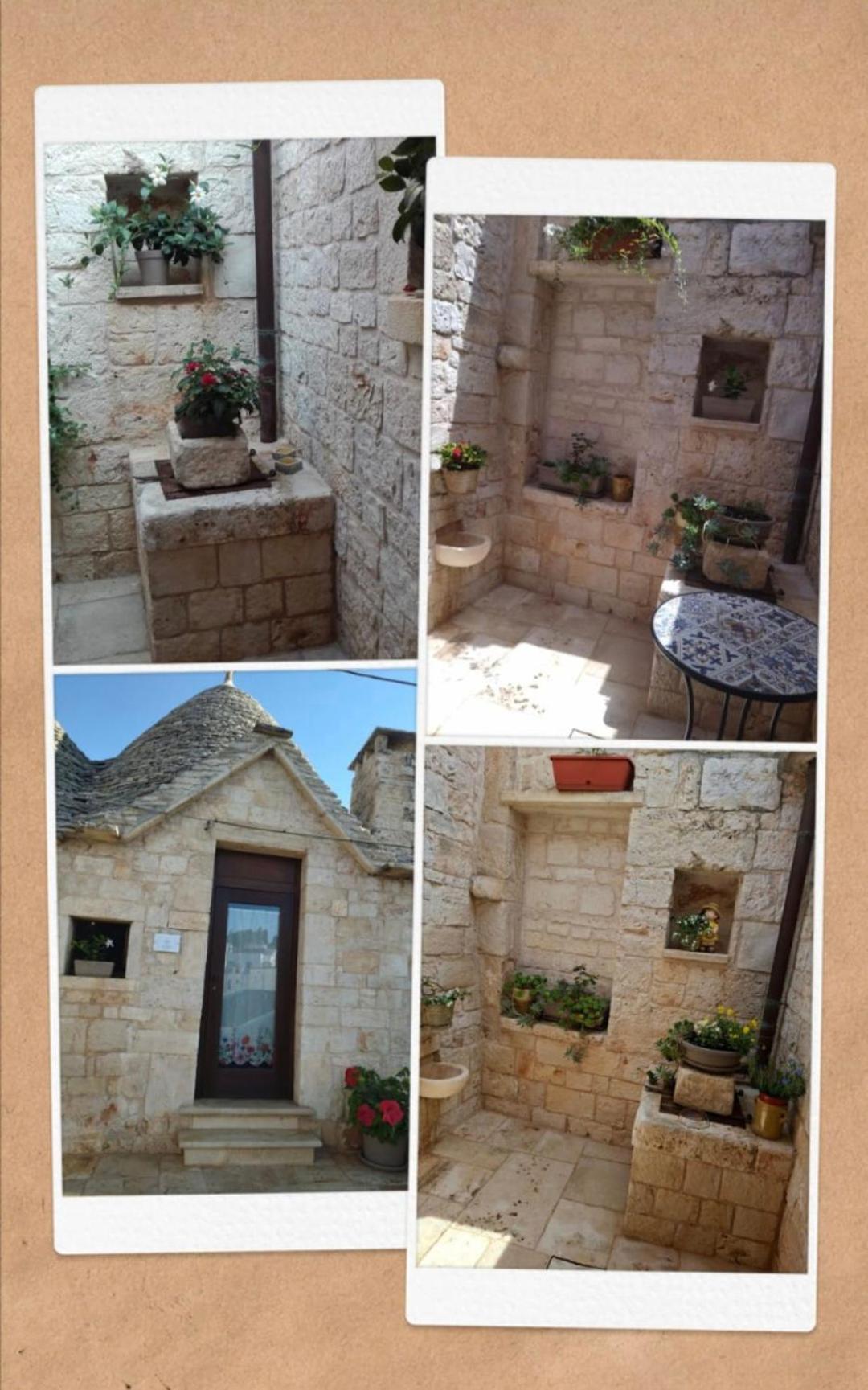 Il Trullo Gentile ألبيروبيللو المظهر الخارجي الصورة